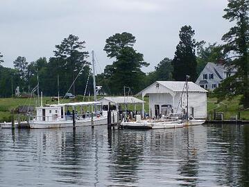 northern Neck waterfront property