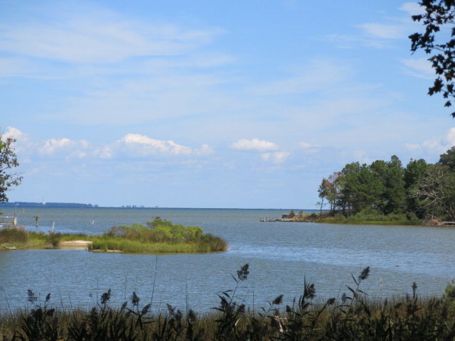Saville 79.0 ac pix.jpg
