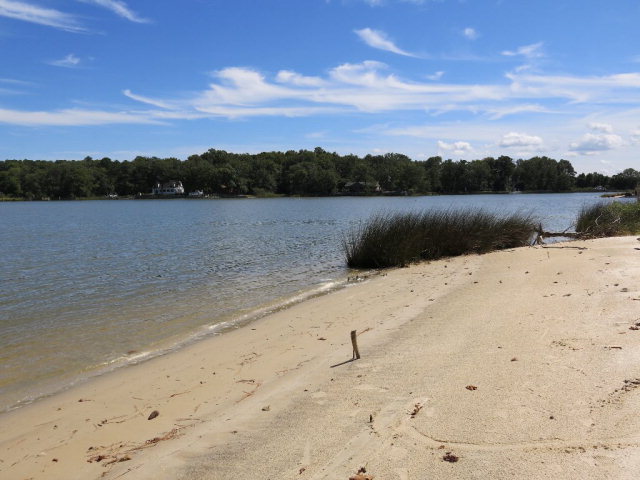 saville 79.0 ac pix 2.jpg